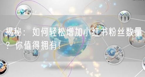 揭秘：如何轻松增加小红书粉丝数量？你值得拥有！