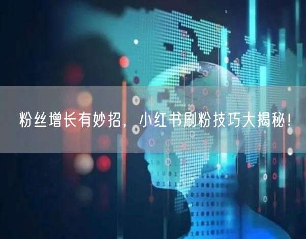 粉丝增长有妙招，小红书刷粉技巧大揭秘！