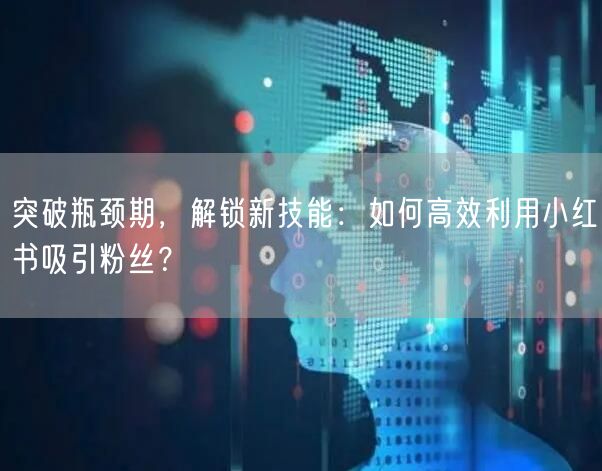 突破瓶颈期，解锁新技能：如何高效利用小红书吸引粉丝？