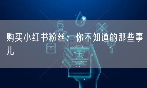 购买小红书粉丝：你不知道的那些事儿