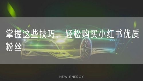 掌握这些技巧，轻松购买小红书优质粉丝！