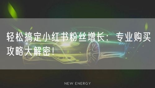轻松搞定小红书粉丝增长：专业购买攻略大解密！