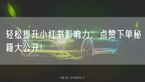 轻松提升小红书影响力，点赞下单秘籍大公开！