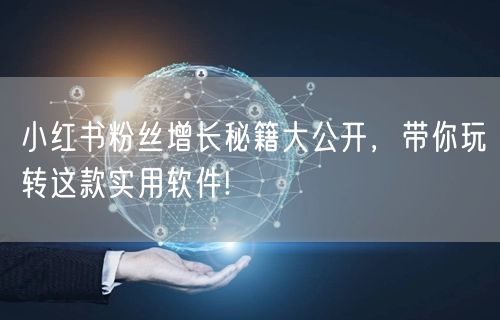 小红书粉丝增长秘籍大公开，带你玩转这款实用软件!