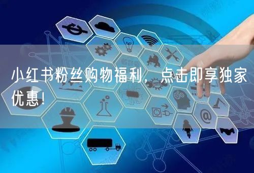 小红书粉丝购物福利，点击即享独家优惠！