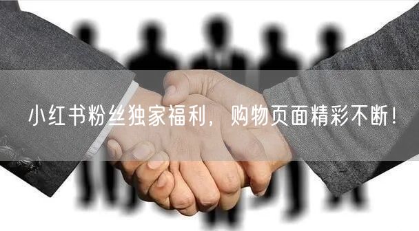 小红书粉丝独家福利，购物页面精彩不断！