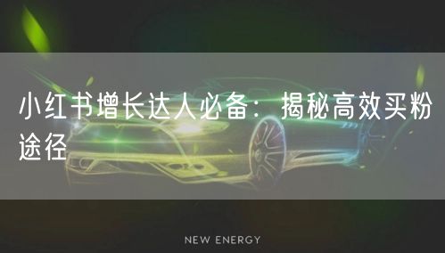 小红书增长达人必备：揭秘高效买粉途径