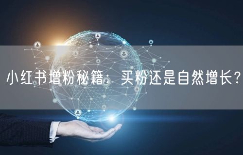 小红书增粉秘籍：买粉还是自然增长？