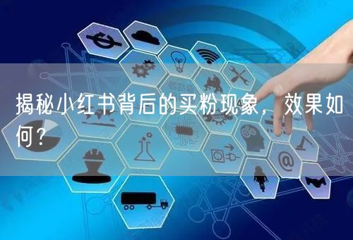 揭秘小红书背后的买粉现象，效果如何？