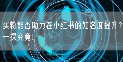 买粉能否助力在小红书的知名度提升？一探究竟！