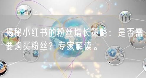 揭秘小红书的粉丝增长策略：是否需要购买粉丝？专家解读。