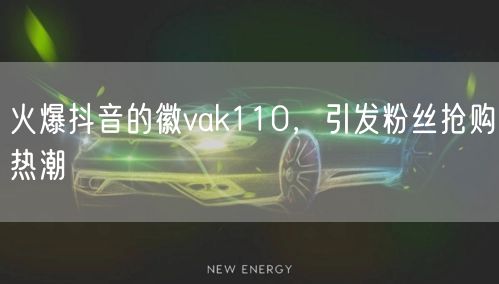 火爆抖音的徽vak110，引发粉丝抢购热潮