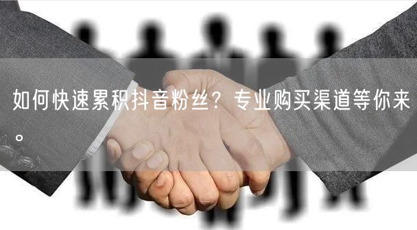 如何快速累积抖音粉丝？专业购买渠道等你来。