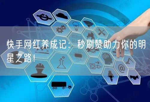 快手网红养成记：秒刷赞助力你的明星之路！