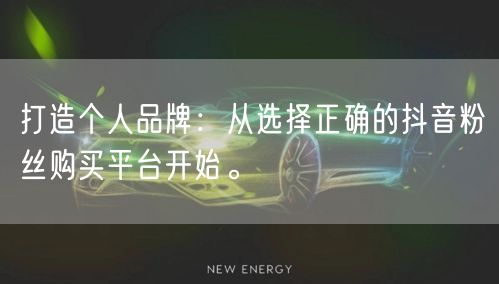 打造个人品牌：从选择正确的抖音粉丝购买平台开始。