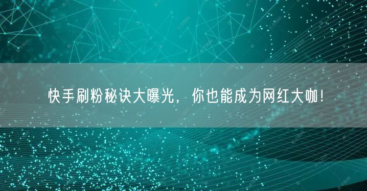 快手刷粉秘诀大曝光，你也能成为网红大咖！