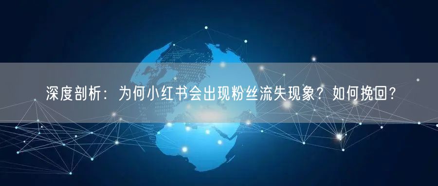 深度剖析：为何小红书会出现粉丝流失现象？如何挽回？