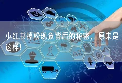 小红书掉粉现象背后的秘密，原来是这样！