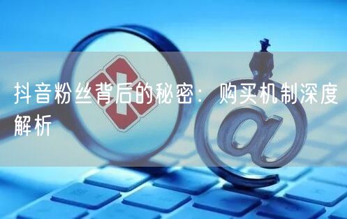 抖音粉丝背后的秘密：购买机制深度解析