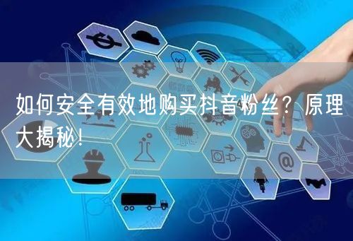 如何安全有效地购买抖音粉丝？原理大揭秘！