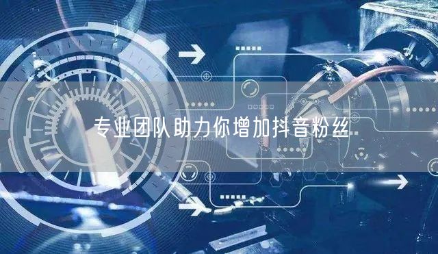 专业团队助力你增加抖音粉丝