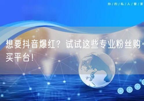 想要抖音爆红？试试这些专业粉丝购买平台！