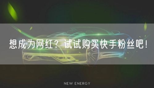 想成为网红？试试购买快手粉丝吧！