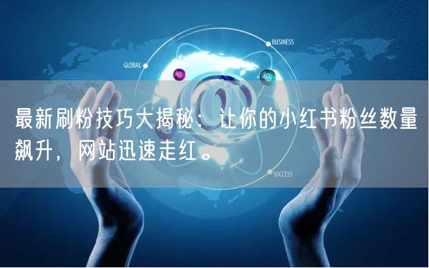 最新刷粉技巧大揭秘：让你的小红书粉丝数量飙升，网站迅速走红。