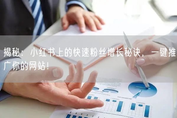 揭秘：小红书上的快速粉丝增长秘诀，一键推广你的网站！
