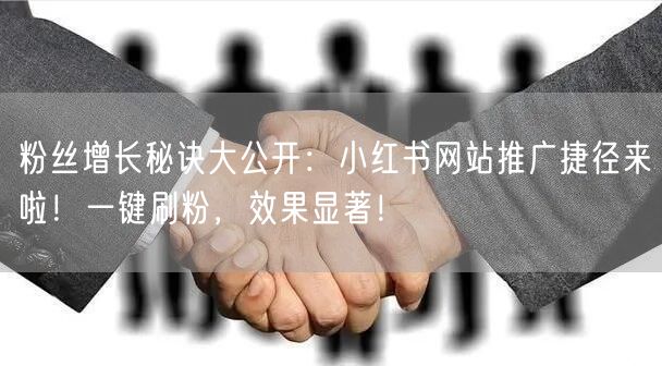 粉丝增长秘诀大公开：小红书网站推广捷径来啦！一键刷粉，效果显著！