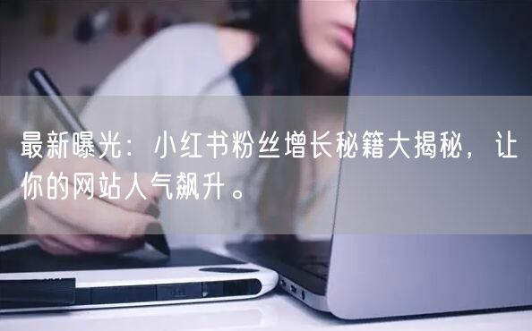 最新曝光：小红书粉丝增长秘籍大揭秘，让你的网站人气飙升。