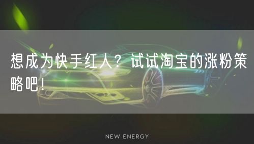 想成为快手红人？试试淘宝的涨粉策略吧！