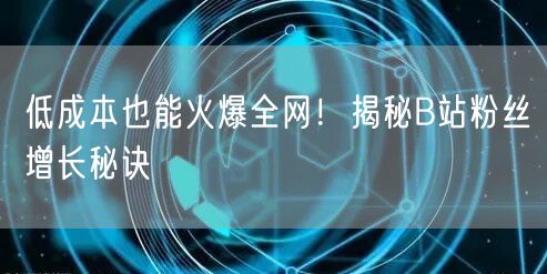 低成本也能火爆全网！揭秘B站粉丝增长秘诀