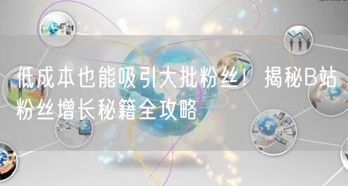 低成本也能吸引大批粉丝！揭秘B站粉丝增长秘籍全攻略
