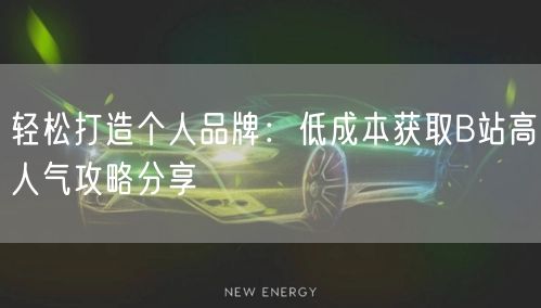 轻松打造个人品牌：低成本获取B站高人气攻略分享