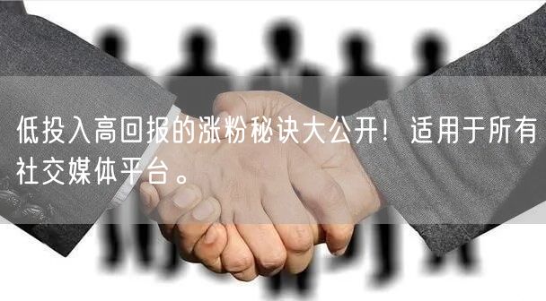 低投入高回报的涨粉秘诀大公开！适用于所有社交媒体平台。