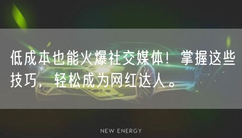 低成本也能火爆社交媒体！掌握这些技巧，轻松成为网红达人。