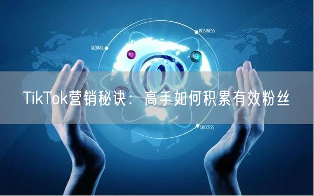 TikTok营销秘诀：高手如何积累有效粉丝