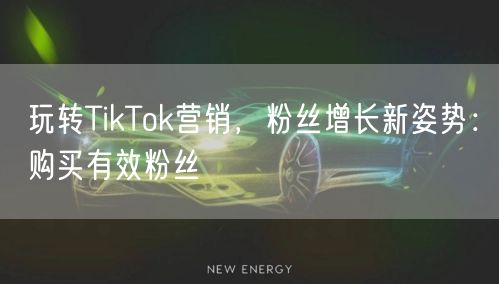 玩转TikTok营销，粉丝增长新姿势：购买有效粉丝
