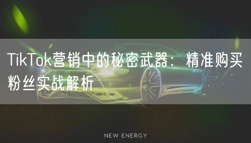 TikTok营销中的秘密武器：精准购买粉丝实战解析