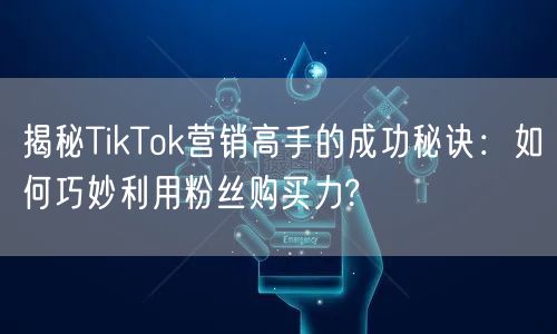 揭秘TikTok营销高手的成功秘诀：如何巧妙利用粉丝购买力?