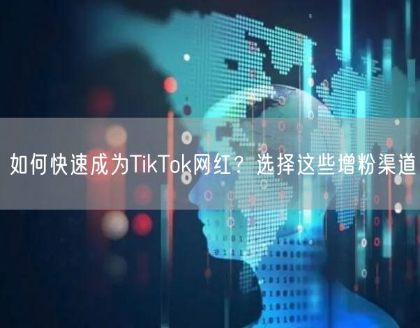 如何快速成为TikTok网红？选择这些增粉渠道