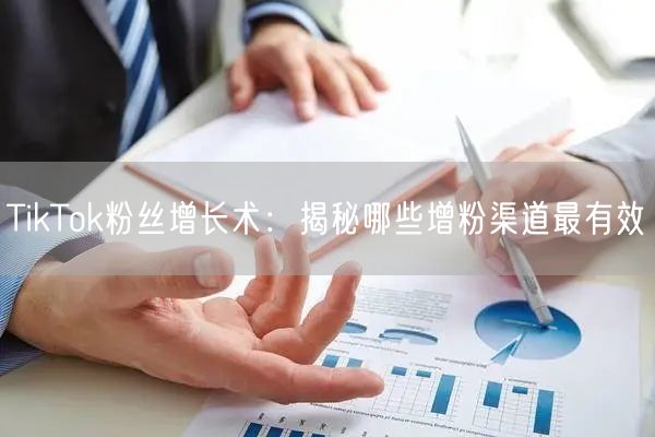 TikTok粉丝增长术：揭秘哪些增粉渠道最有效