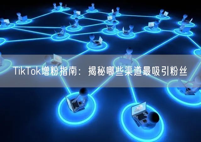 TikTok增粉指南：揭秘哪些渠道最吸引粉丝