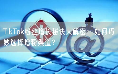 TikTok粉丝增长秘诀大解密：如何巧妙选择增粉渠道？