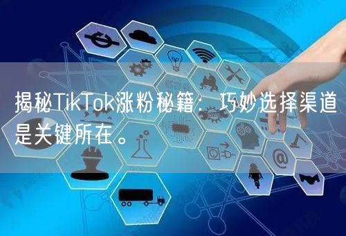 揭秘TikTok涨粉秘籍：巧妙选择渠道是关键所在。