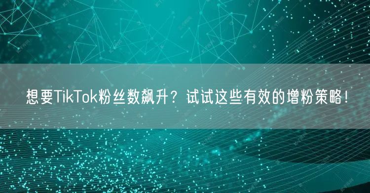 想要TikTok粉丝数飙升？试试这些有效的增粉策略！