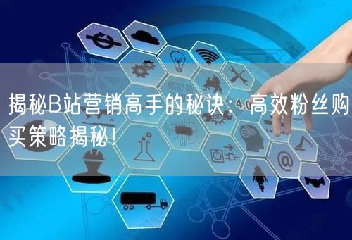 揭秘B站营销高手的秘诀：高效粉丝购买策略揭秘！