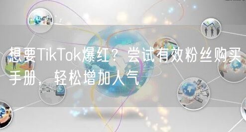 想要TikTok爆红？尝试有效粉丝购买手册，轻松增加人气