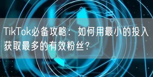 TikTok必备攻略：如何用最小的投入获取最多的有效粉丝？
